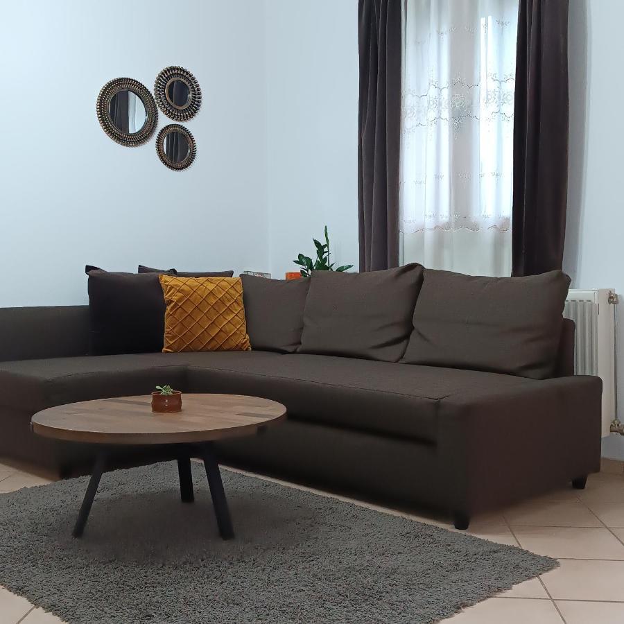 Baou House 1 Lägenhet Metsovo Exteriör bild